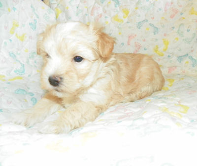 click here to see me grow!